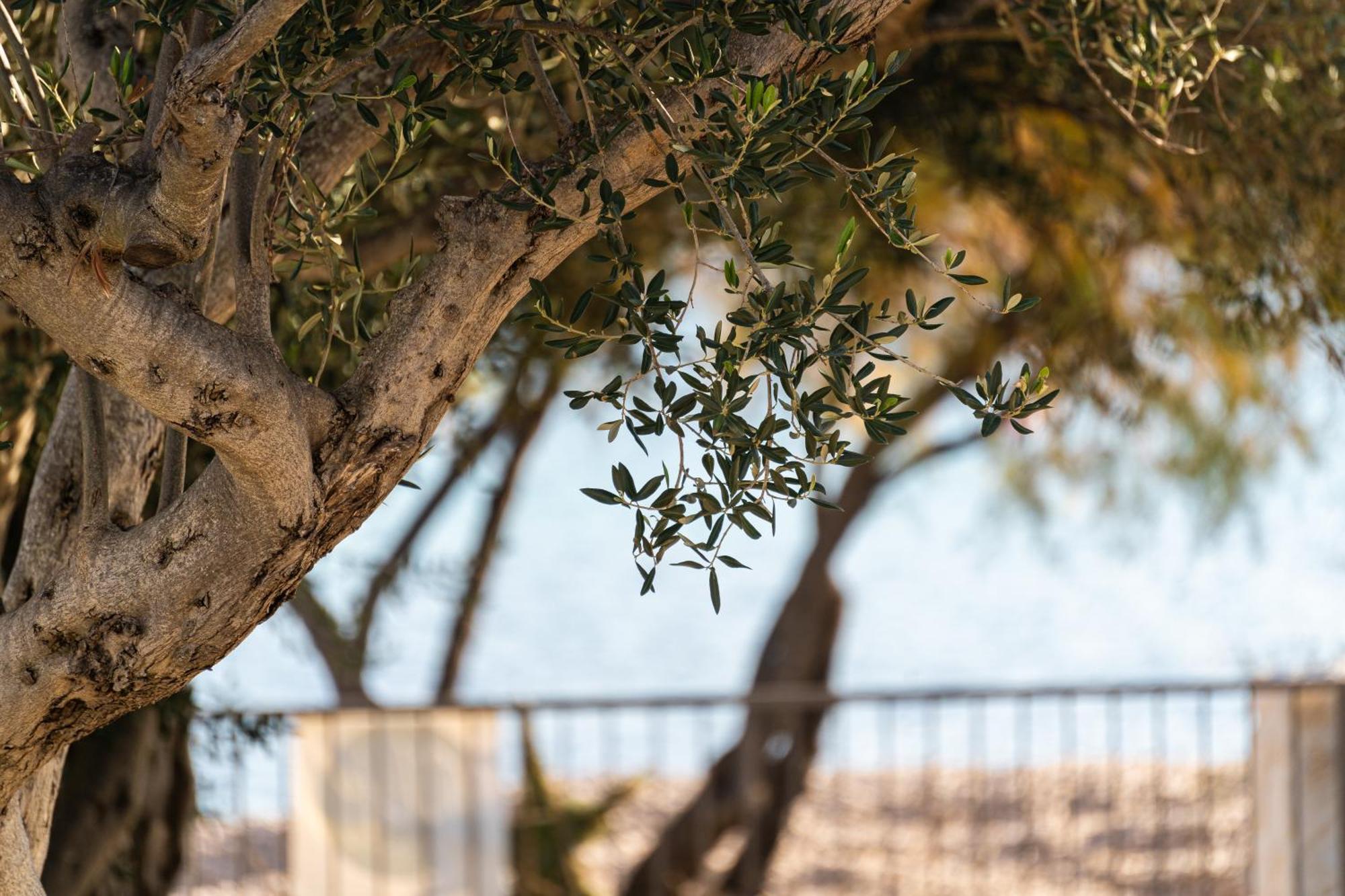 O'Life Boutique Apartments Vodice Bagian luar foto